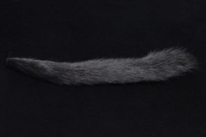 Squirrel Tail-714