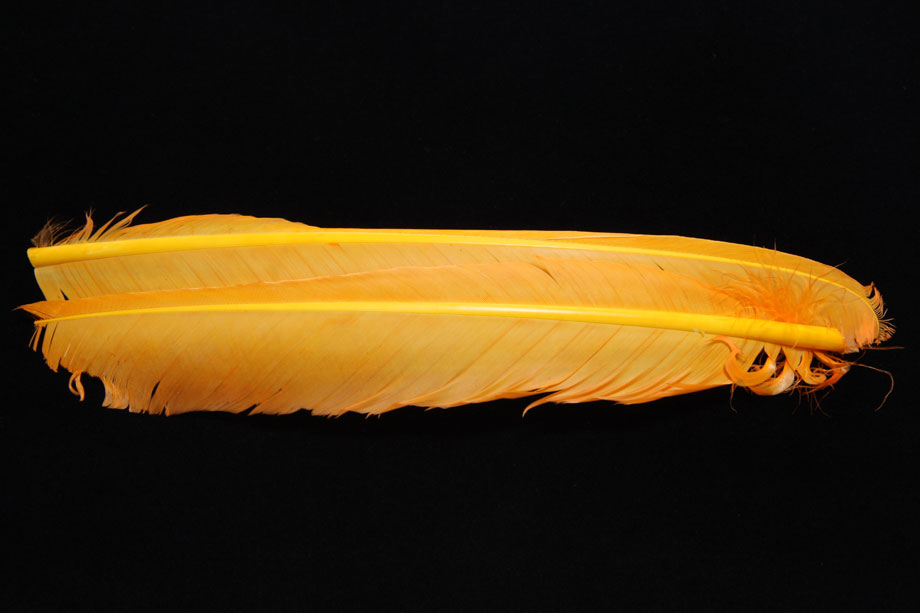 sulphur orange
