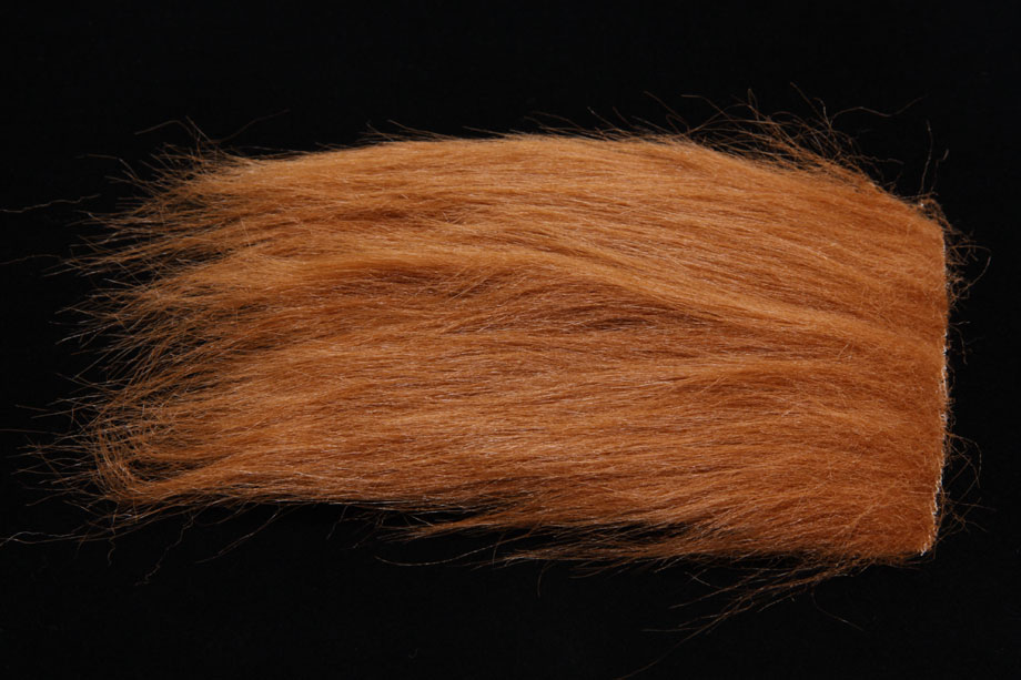 orangutan rust