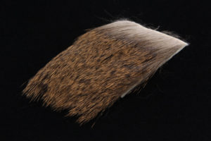 Deer Body Hair-562