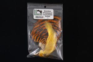 Golden Pheasant Head-866