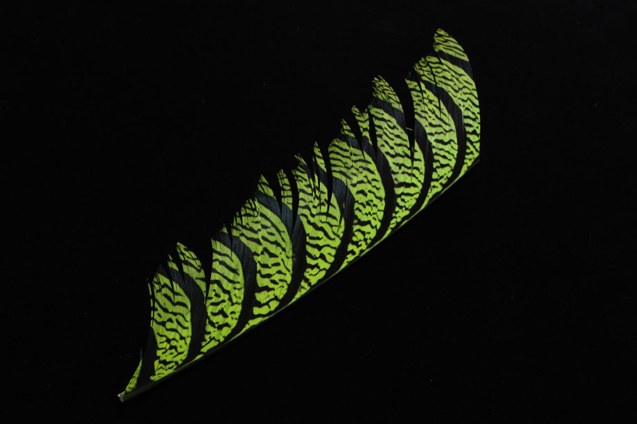 chartreuse