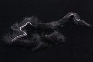 Rabbit Strips-607