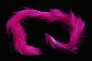 Rabbit Strips-1677