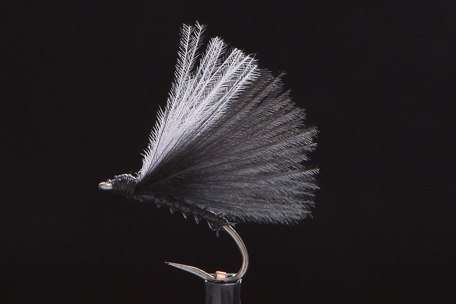 F-Fly black-0