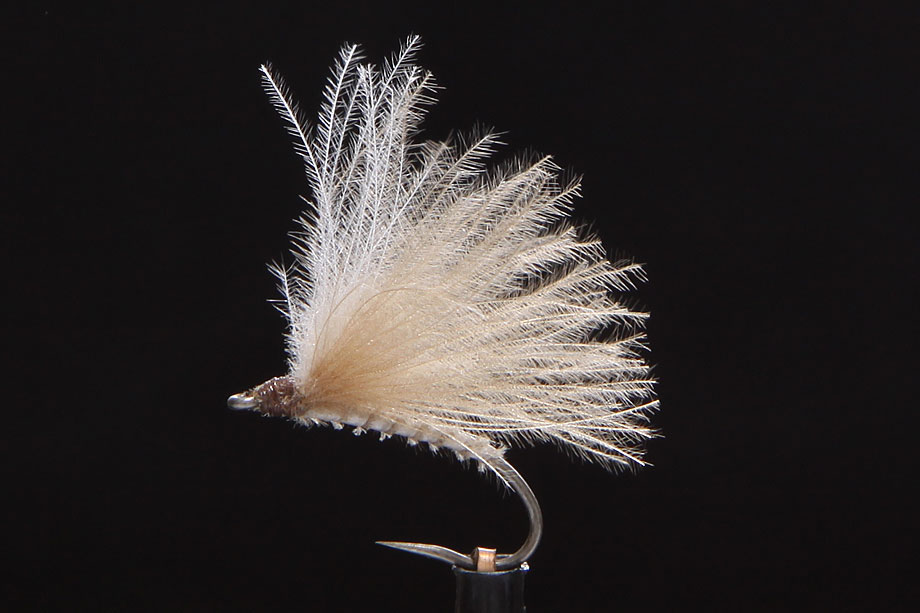 F-Fly callibaetis-0