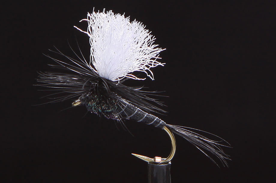 Parachute black-0
