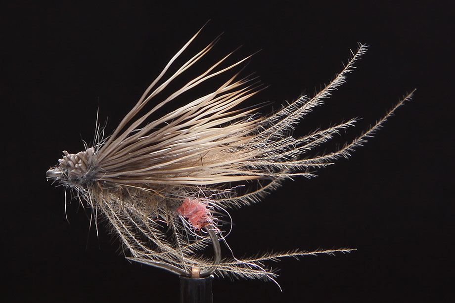 Red Ass Caddis-0