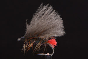 Red Tag CDC Caddis-0