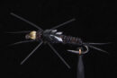 Stonefly black-1428