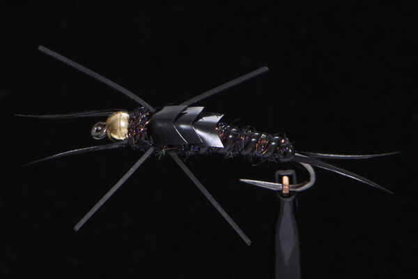 Stonefly black-1428
