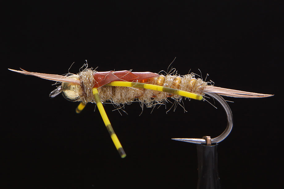 Stonefly gold-0