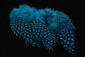 Strung Guinea Feathers-1365