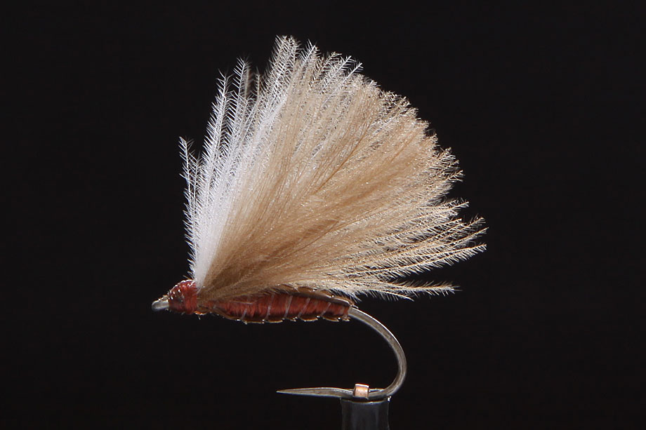 CDC Biot Caddis brown-0
