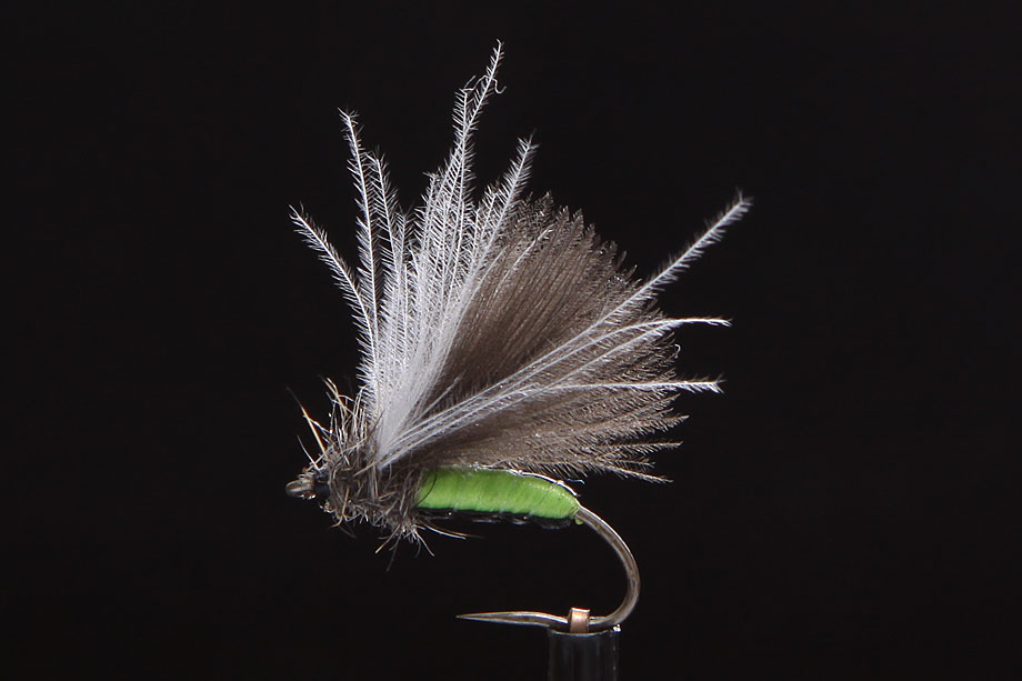 CDC Biot Caddis chartreuse-0