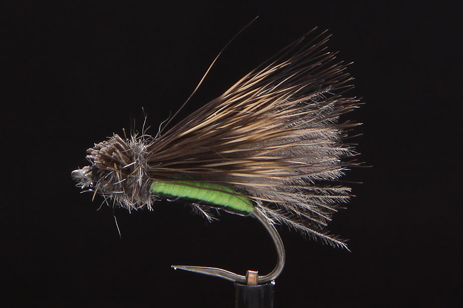CDC + Elk Biot Caddis-0