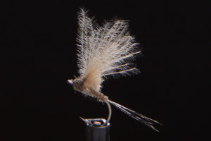 CDC Micro Dun brown-0