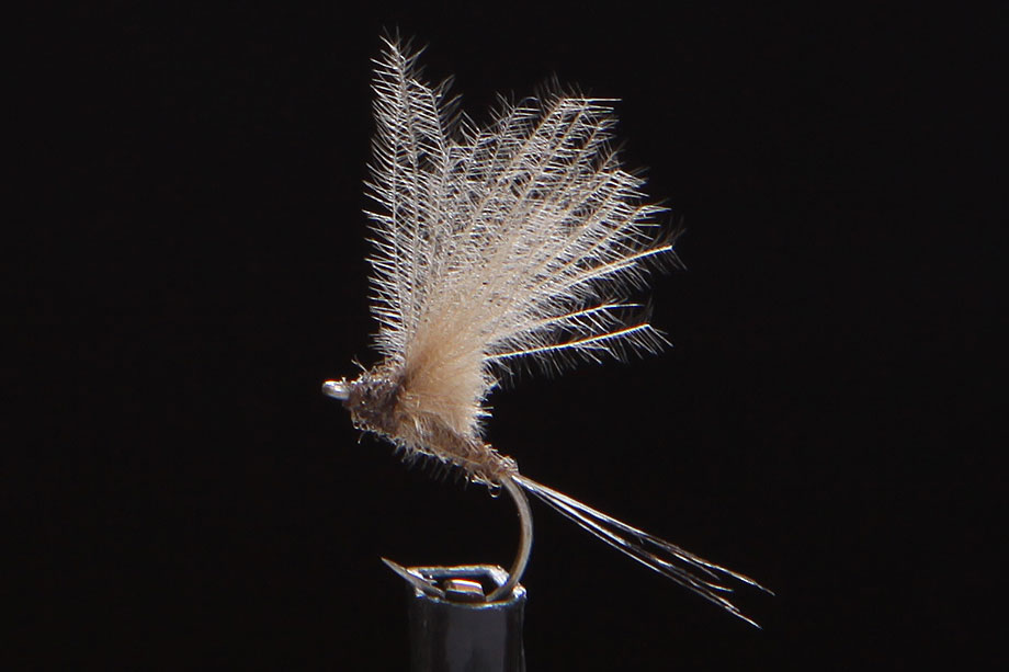 CDC Micro Dun brown-0