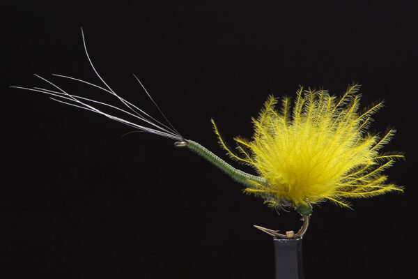 Mayfly "R" Spent olive-1567