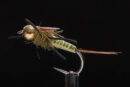Ripr Green-1800