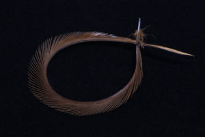 Stripped Goose Biots-1829