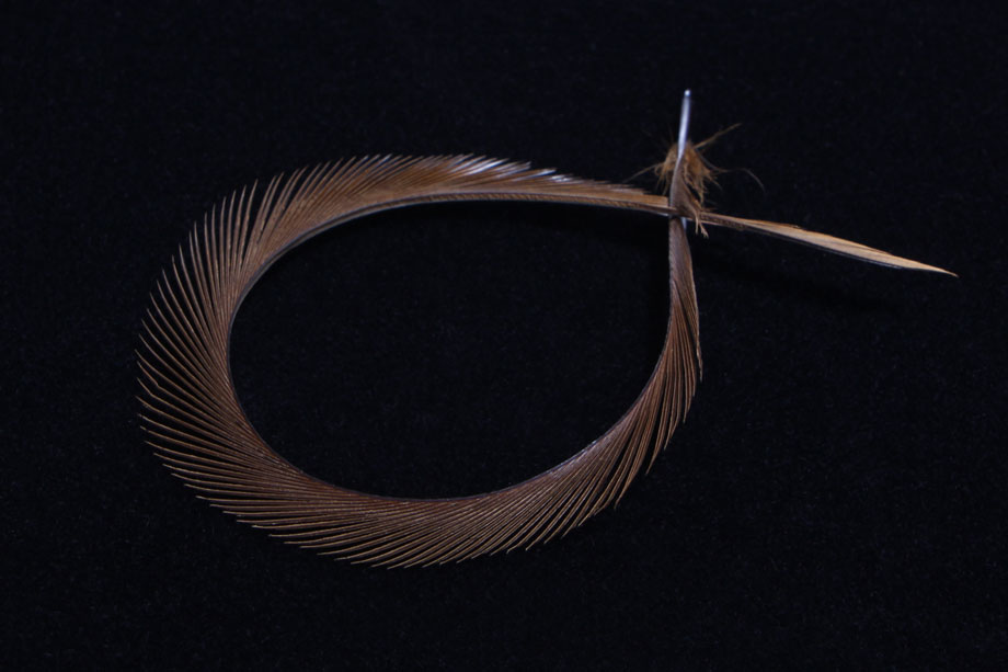 prince nymph brown
