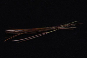 Hand Stripped Peacock Quill-1914