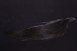 1/2 Whiting Dry Fly Capes Bronze-2043