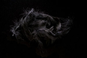 Mallard Flank black
