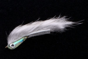 Glassy Minnow-0