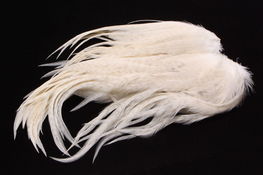 ghost barred white