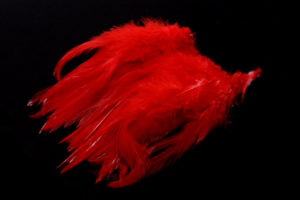 Strung Chinese Saddle Hackle 5-7"-3232