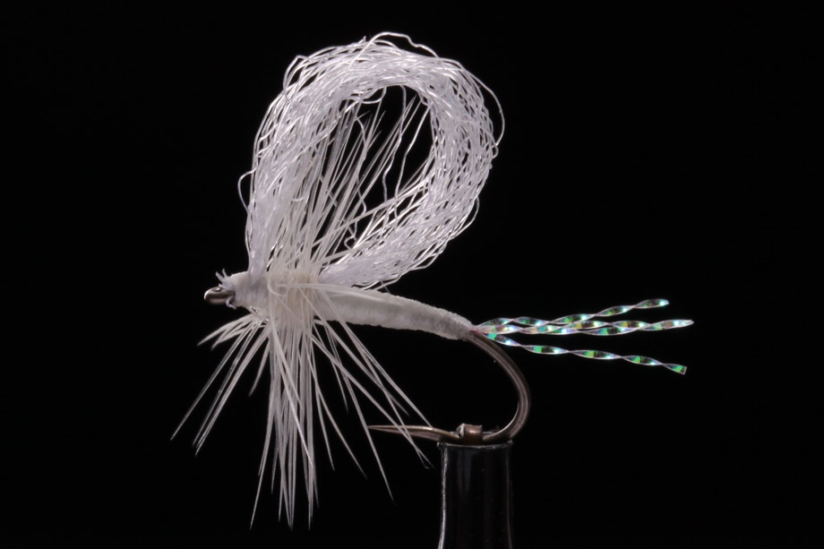 Snow Flake Loop Wing-0