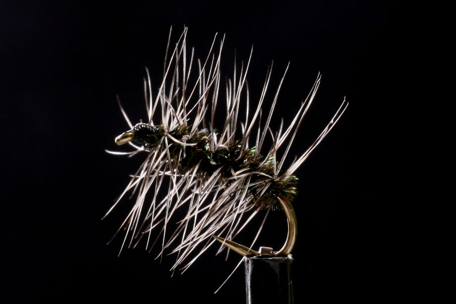 Griffith Gnat-0