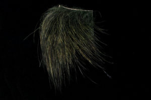 Swissline Wildschwein-3824