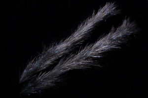 H2O Translucy Fly Brush 3"-4476