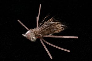 Bonefish Bitter tan-0