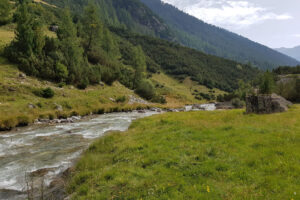 Fliegenfischen im Engadin