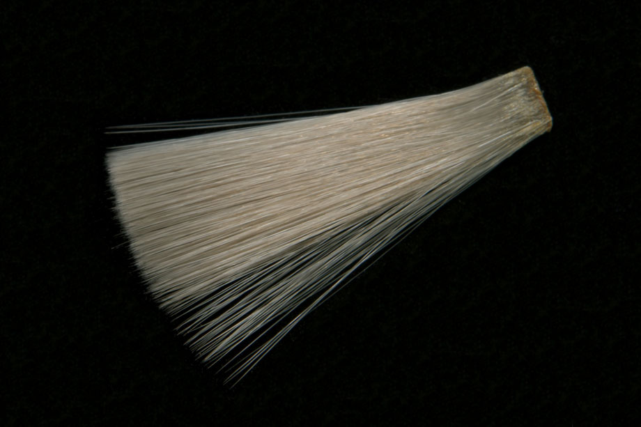medium dun