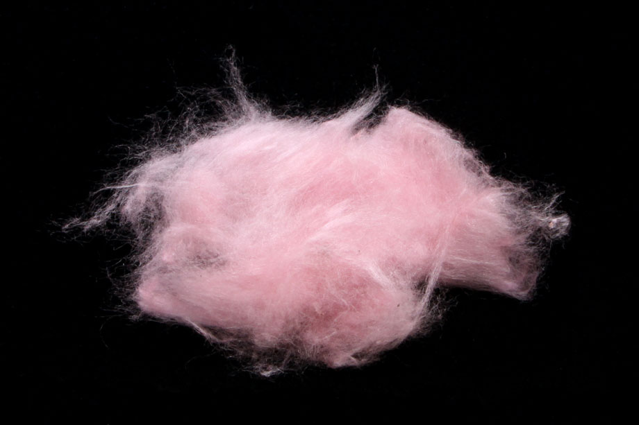shrimp pink