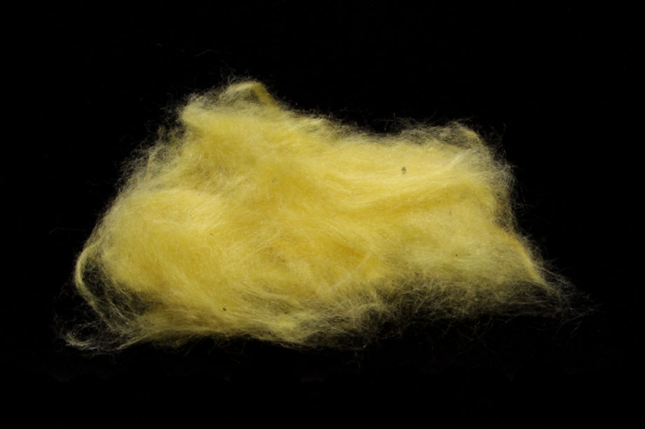 sulphurea