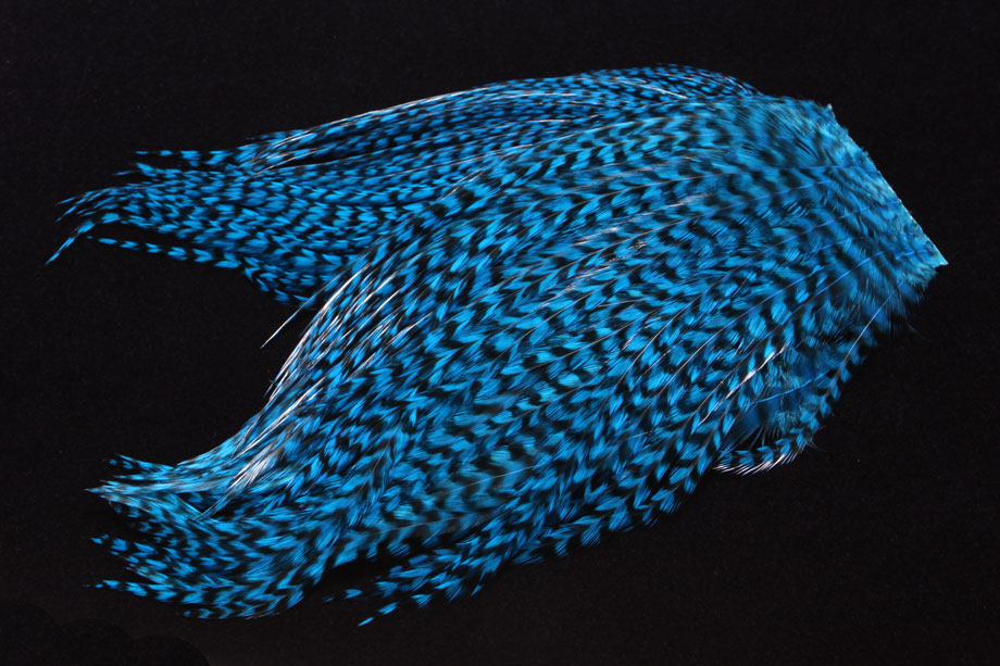 grizzly/kingfisher blue