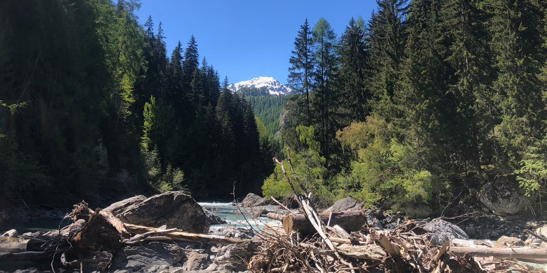 Fliegenfischerwoche Engadin