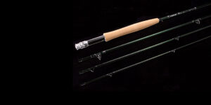 Guideline Fario Classic Aktion