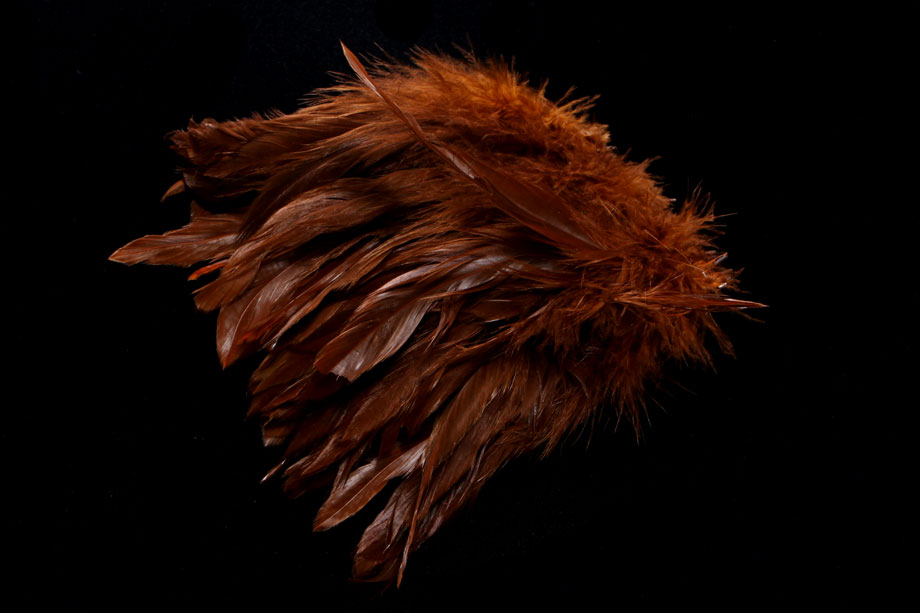 fiery brown