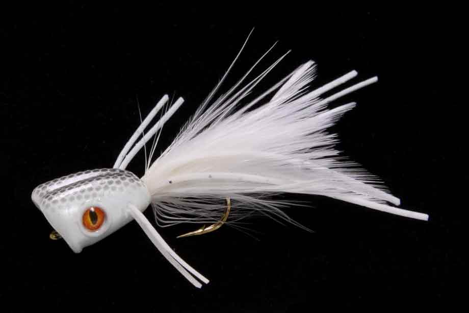 Surface Seducer DB Bass Bug Popper 2.0 white