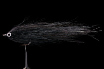 Bulkhead black