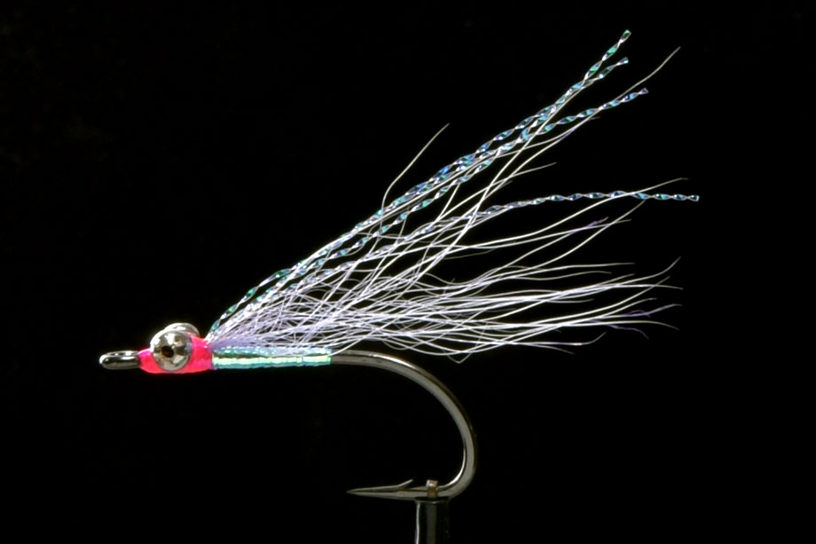 Peter's Fly