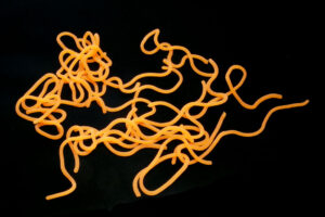 Caster's Squirmito  fluo orange
