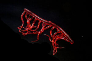 Mini Squiggle Worms red